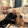 House sit pet parent - Country house with two dogs in a village with train access and local amenities.