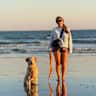House sit pet parent - Looking for caring home-sitter to look after Golden Retriever in Shoreham-by-Sea