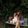 House sit pet parent - Adorable spaniel and two cats in Shakespeare's town