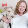 House sit pet parent - SW France country home with pool & 3 Wire Fox Terriers