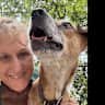 House sit pet parent - Lismore is a vibrant NNSW town & is the gateway to Nimbin, Byron Bay & Ballina.