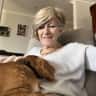 House sit pet parent - Dog Lovers Dream in a lovely home.