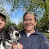 House sit pet parent - E. Boston apt w/harbor and city views with chill beagle mix and 2 friendly cats