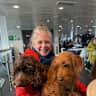 House sit pet parent - Beautiful house in the South Downs with 2 small dogs.