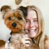 House sit pet parent - Spacious home with loving yorkie