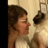 House sit pet parent - Catsitting in Basel