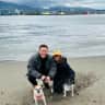 House sit pet parent - Luxury downtown Vancouver apartment with 2 sweet, low maintenance small dogs!