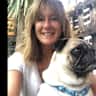 House sit pet parent - Cornish dog mum