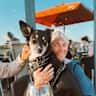 House sit pet parent - Look after two entertaining, "gifted-word-learner" border collies in Norway!