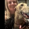 House sit pet parent - Beachside stay with a handsome and very sweet greyhound