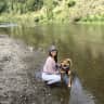 House sit pet parent - Cozy, breezy stay in Kaimuki neighborhood next to Diamond Head