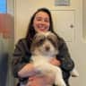 House sit pet parent - Looking for 1-Week Housesitters for Our Dog Maple in a Lovely Spot of Haarlem/NL