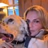 House sit pet parent - High standard apartment and two English Setter girls.