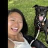House sit pet parent - Life by the Dodder with Riley