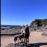 House sit pet parent - Thirroul couple seeking sitter for our Beagle Matilda & KelpieX pup Chip.