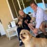 House sit pet parent - Life among the Pines in Beautiful Sammamish Washington with easy dogs!