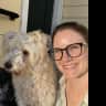 House sit pet parent - Quiet Napa Home with the cutest dog