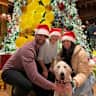 House sit pet parent - Mid city, safe and fun area with a loving golden retriever!