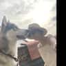 House sit pet parent - Cozy Brussels Stay with Bouba, the husky.