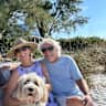 House sit pet parent - Beaches, Lobsters, whales, light houses and Doodles in Cape Cod