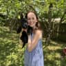 House sit pet parent - One Sweet Dog in Beautiful Toluca Lake