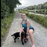 House sit pet parent - Glencoe getaway of dreams with handsome spaniel for company