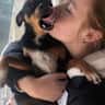 House sit pet parent - Dog Sitting in Split