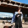 House sit pet parent - Gorgeous adobe home in the Galisteo Basin, with two wonderful border collies