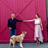 House sit pet parent - Dog + Cat + Home Sitting in rural area close to Healdsburg Square.