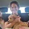 House sit pet parent - Beautiful large family home in Bedford with a Goldendoodle and a cat for company