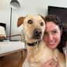 House sit pet parent - Love up on Tulsi - a sweet puppy girl.
