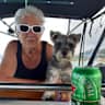 House sit pet parent - We live in Russell in the beautiful Bay of Islands at a Beach called Tapeka.