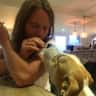 House sit pet parent - Looking for a dog sitter to look after my loving lurcher