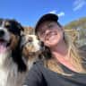 House sit pet parent - Pet sitter required in Merimbula for two dogs and one parrot in August