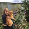 House sit pet parent - Looking for caring persons to look after our home and Scarlet and Freddie