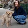 House sit pet parent - Upper West Side apartment close to everything, with a scruffy good boy