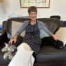 House sit pet parent - 2 Lovely Miniature Schnauzers in large comfortable London home.