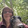 House sit pet parent - Look after Maeve the greyhound in central Belper.