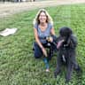 House sit pet parent - 12 year old standard poodle with vineyard views in city of Napa