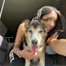 House sit pet parent - Amsterdam stay with the sweetest senior dog, 16 year old Piccolino