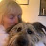 House sit pet parent - Fancy a Christmas/ New Year break in rustic cottage in Witney, Oxfordshire?