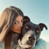 House sit pet parent - Paradise calls for Experienced Dog sitter…