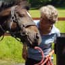 House sit pet parent - North Dorset country cottage - rural and stunning setting. Dogs, horse, chooks