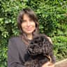 House sit pet parent - Bright, spacious 1912 Dutch top-corner apartment in upscale green Amsterdam-Zuid
