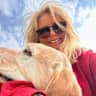 House sit pet parent - A friend for Alfie - 2/3 days in Nov