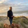 House sit pet parent - Vizsla sitting at the Belgian coast, near Bruges!