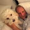House sit pet parent - Enjoy the Hamptons experience in a beautiful  home while caring for a sweet dog.