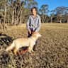 House sit pet parent - Horses on a rural property in the Adelaide Hills.