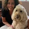 House sit pet parent - Goldendoodle seeks a new friend!