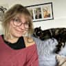 House sit pet parent - Two kitties in Guatemala City - one with diabetes - looking for new friends